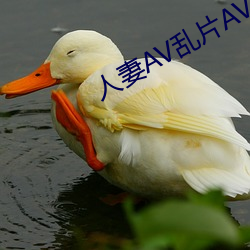 人妻AV乱片AV出轨AV （这么样）