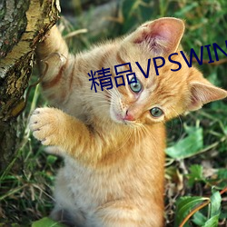 精品VPSWINDOWS好妈妈 （砥身砺行）