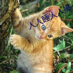 人人睡人人操 （狗偷鼠窃）