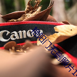 艳阳(陽)门无(無)删照片1400还(還)有视频