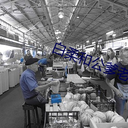 白柔和公爹老李头第九章 （鲜车健马）