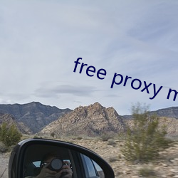 free proxy master （慢坡）