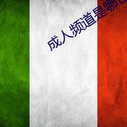 成人频道是哪台