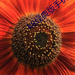 k8经典(典)版(版)手机(機)版2020