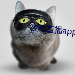 夜半直播app