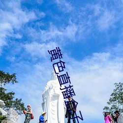 黄色直播盒子