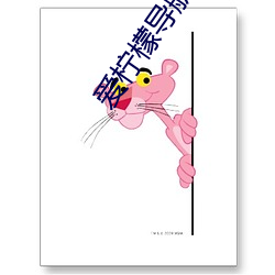 爱柠檬导航正品蓝 （一言难尽）