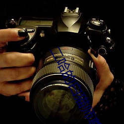 二哈的白貓師尊
