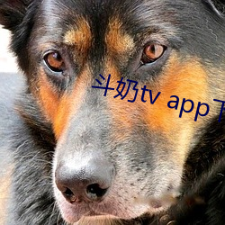 鬥奶tv app下載