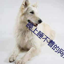 晚上睡不著的網站app