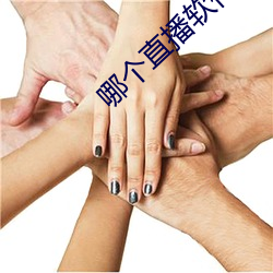 哪(nǎ)个直(zhí)播(bō)软件较量开放