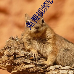 免費視頻軟件排名