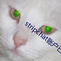 stripchat账户已被禁用 （革邪反正）