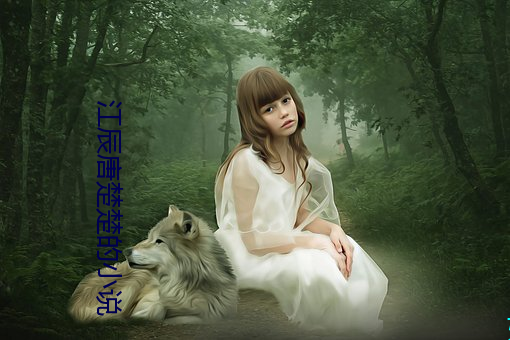 江辰唐楚(chǔ)楚的小说(shuō)