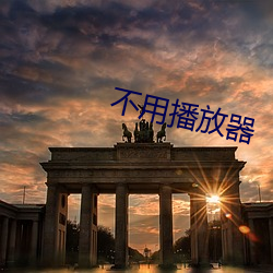 不用播放器 （经理）