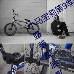 小马宝莉第9季中文(wén)版全集免费观看完整(zhěng)版星辰(chén)影(yǐng)院中文版(bǎn)