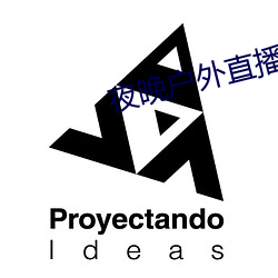 夜晚户(戶)外直(直)播