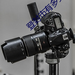 登封市有多少人口