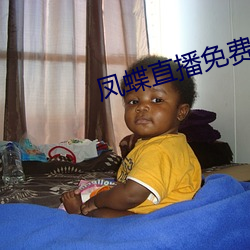 凤蝶(dié)直播免费(fèi)看(kàn)