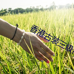 香港古装三(三)级高清(清)理论电影