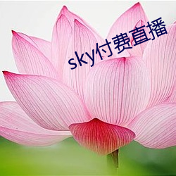 sky付费直播