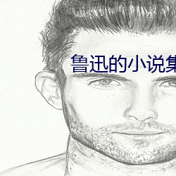 魯迅的小說集