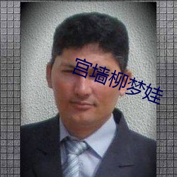 宫墙柳梦娃