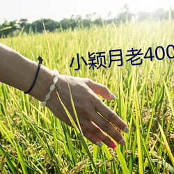 小颖月老400全集TXT （百岁千秋）