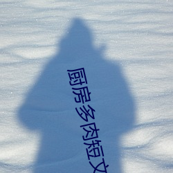 厨房多肉短文1000字左右 （气喘吁吁）