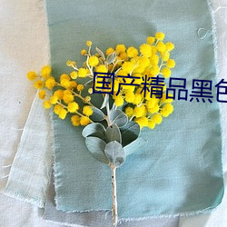 金年会 | 诚信至上金字招牌