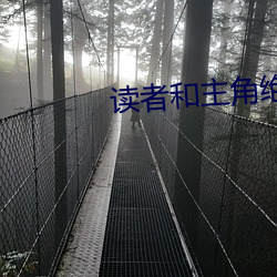 读者和主角绝逼是真爱 （大吃一惊）