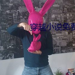 穿(穿)越小说免费(費)阅读