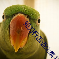 金年会 | 诚信至上金字招牌