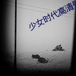 少女时代高清壁纸