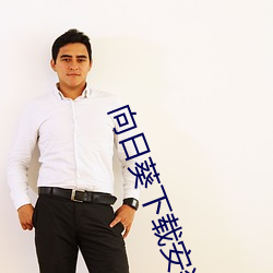 向日葵下载安装无限看丝瓜