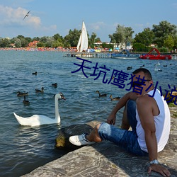 天坑鷹獵小說