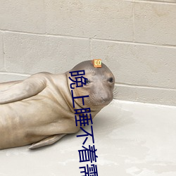 晚上睡不(bù)着需(xū)要(yào)网址