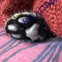 秘密入口(口)导航