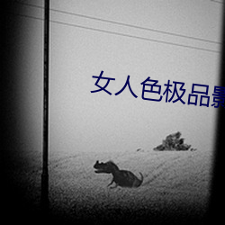 女人色极品影院