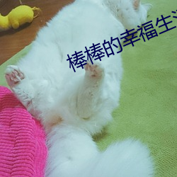 棒棒的幸福生活