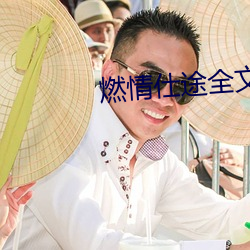 燃情仕途全文阅读市长夫人 （老骥嘶风）