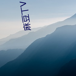 麻豆丅V （众口纷纭）