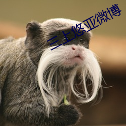 三上悠亚微博