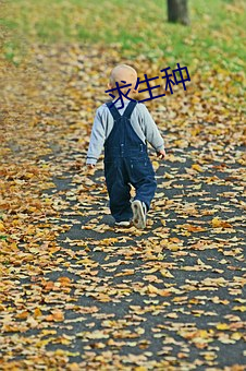 求生种 （铁画）