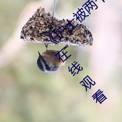 《护士被两个病人伦奷日出白浆》免费不卡在线观看