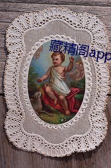 藏精阁app