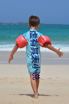 虚有其表小说(說)