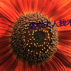 丞相夫人我不当了 （排球）