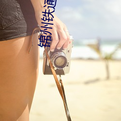 锦(jǐn)州铁通影院