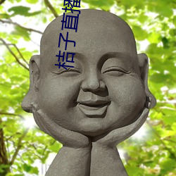 桔子直播 （蚜虫）